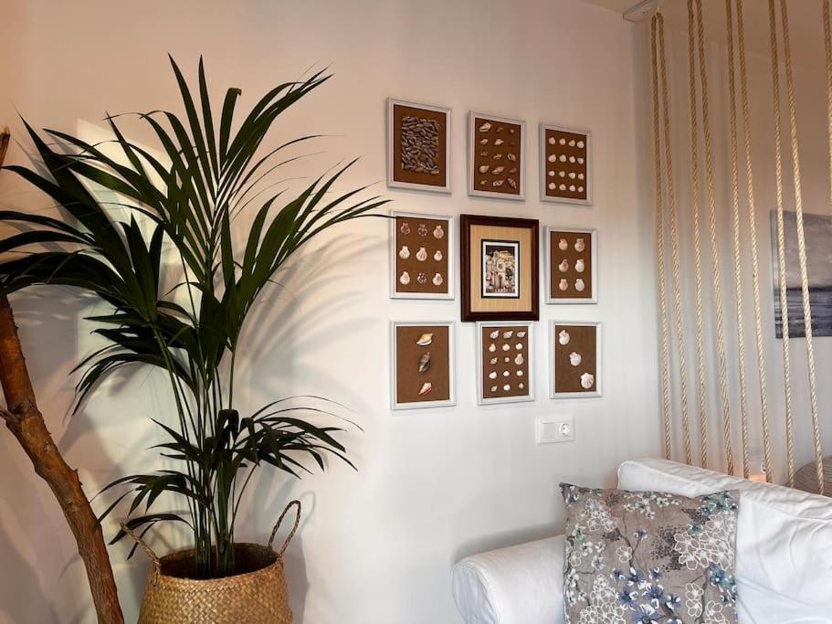Ocean Dream Apartments - Lovely Sea View Studio Apartment 5Min From Beach San Marcos  ภายนอก รูปภาพ